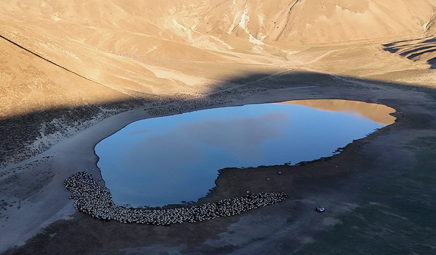 The exhausting water journey of animal herds living at the foothills of Mount Nemrut.