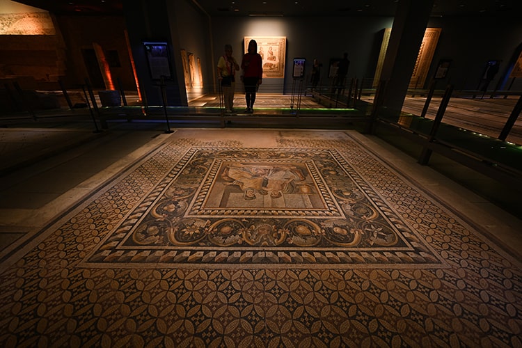 Zeugma Mosaic Museum