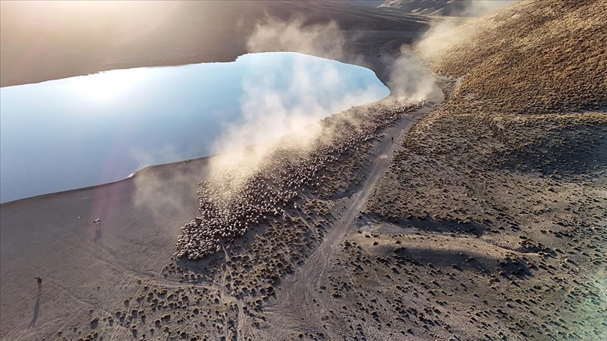 The exhausting water journey of animal herds living at the foothills of Mount Nemrut.